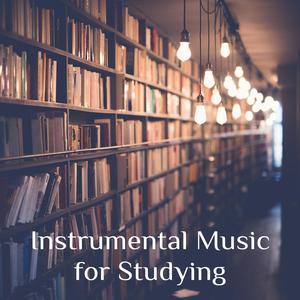 Openmind (Instrumental Music)