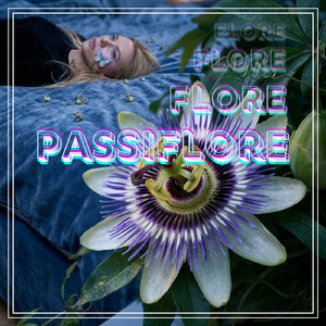 Passiflore