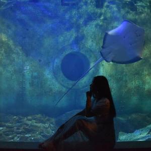 丁雨萌这二十一笔