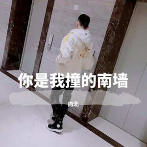 你是我撞的南墙