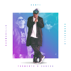 Karmadillo