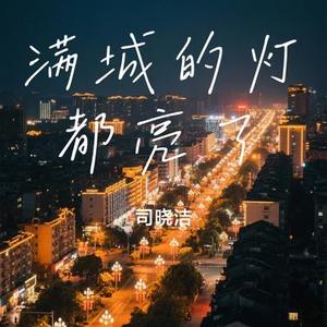 满城的灯都亮了 (Cover 魏佳艺)