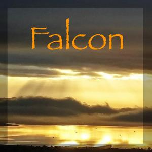 Falcon