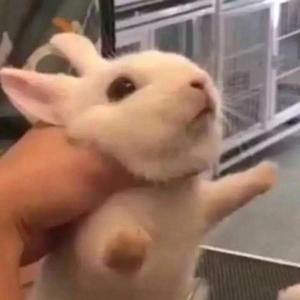 夏天的风(无和声版)