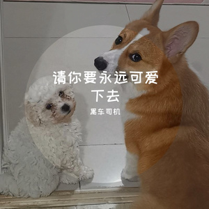 【Free Beat】请你要永远可爱下去