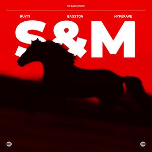 S&M (UK BASS HOUSE)