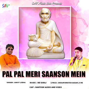 Pal Pal Meri Saanson Mein