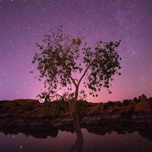 flu（prod.Tsurreal)