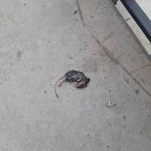 Nie Każdy Mnie Lubi