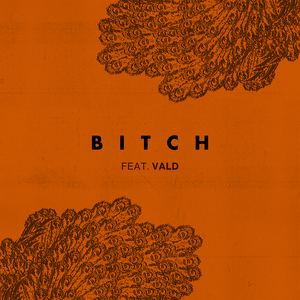Bitch (feat. Vald)
