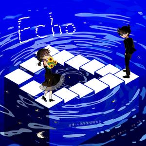 Echo 回响