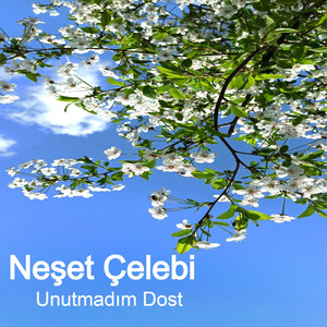 Unutmadım Dost
