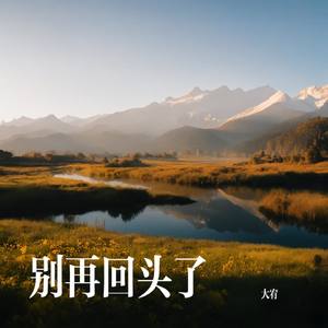 别再回头了