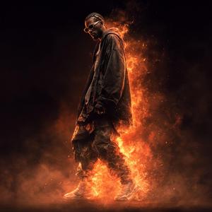 Darkness in the Nightscape