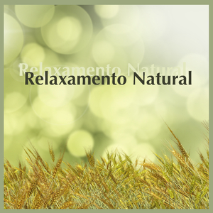 Centro de Energia para Reduzir a Ansiedade