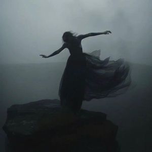 樱花草（DJ抖音版）