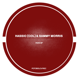Pavo (Original Mix)