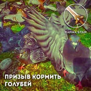 Призыв кормить голубей