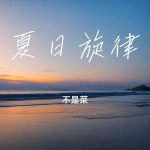 夏日旋律