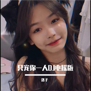 只宠你一人DJ电摇版