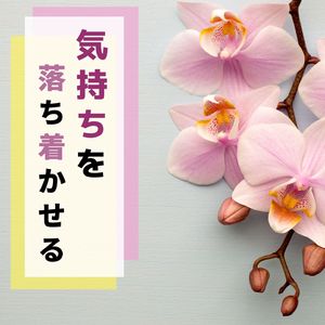 ホワイトノイズ　雨音