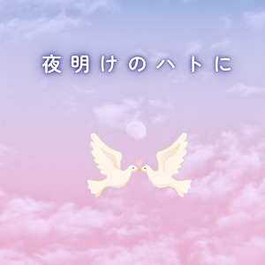 夜明けのハトに