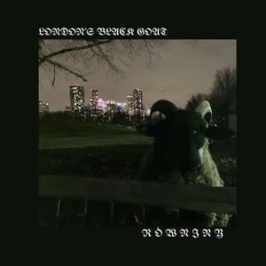 LONDON'S BLACK GOAT