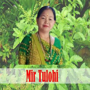 Mir Tulohi