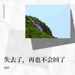 黑色陨落2023