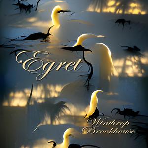 Egret