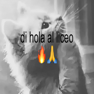 Fiestas de gala ser como
