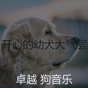 温和训练你的狗梦想