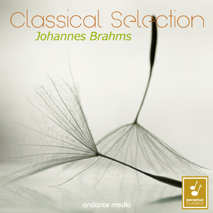 Clarinet Sonata No. 2 for Viola and Piano in E-Flat Major, Op. 120: III. Andante con moto