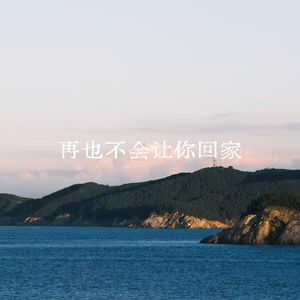 再也不会让你回家