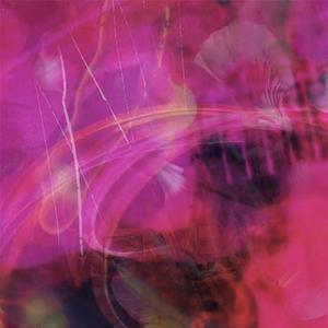 you deserve what you dream