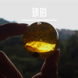 琥珀风（Amber Breeze）