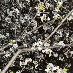 我在（prod.by Morrow x Aye）