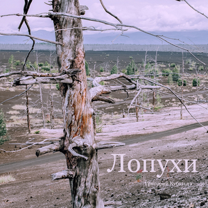 Рыба камбала