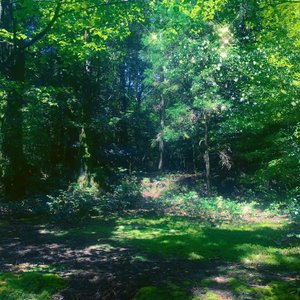 Your Dream In My Dream