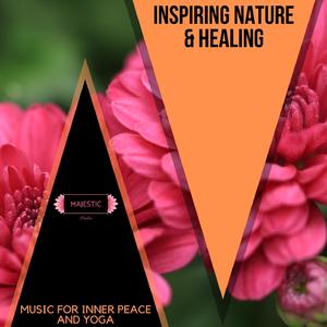 Enlightened from Inside