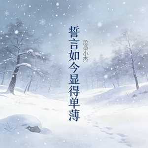 誓言如今显得单薄(慢摇DJ版)