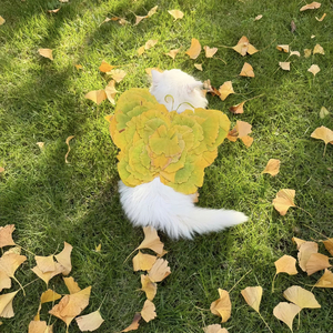 秋落（翻自 梅新杨）