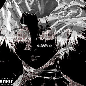 Thunderbird (Original Mix)