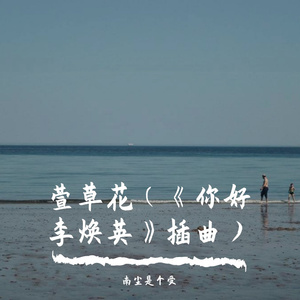 萱草花（翻自 张小斐）