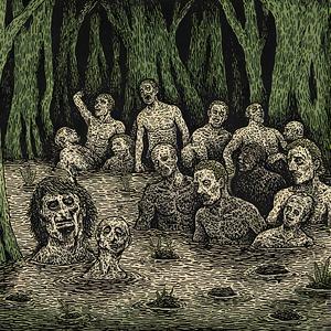 ФЛЕКС ИММУНИТЕТ