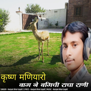 krushna maniyaro bag ne bagichi radha rani