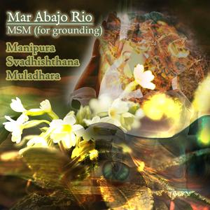 MSM (for grounding) (live)