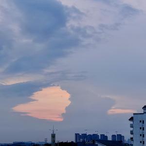 20220622_123320裁剪