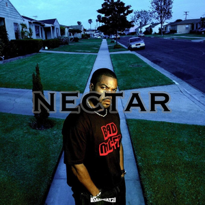 Free Boombap type beat “Nectar”