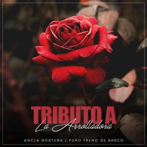 El Tarasco (En Vivo)